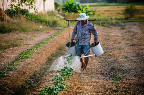 Secretaria de Agricultura entra em campo, renovando cadastros e apresentando programas e projetos
