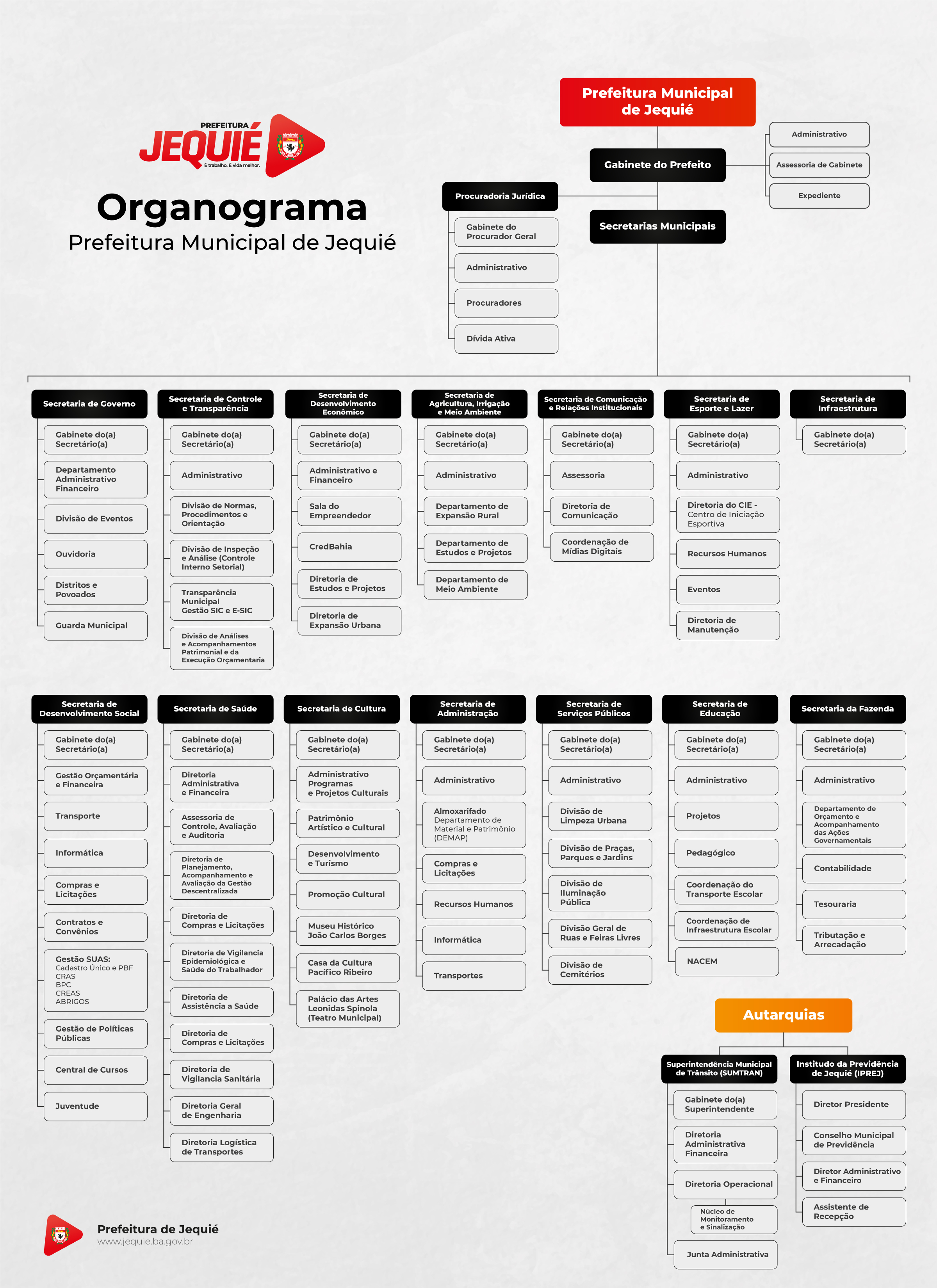Organograma